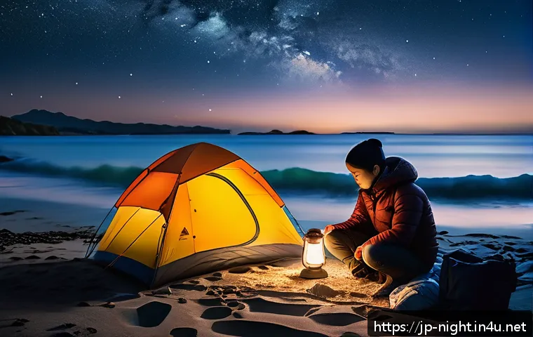 캠핑장에서 보는 야경 관련 이미지 2